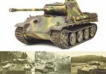 Panther Tanks: Germany Army and Waffen-SS, Defence of the West, 1945
